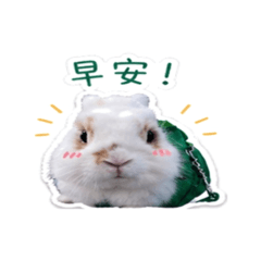 可愛牛奶日常