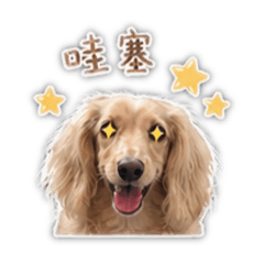 奧莉咕嘰 日常用語1