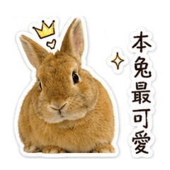 阿咘Peter