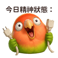 小鸚鵡變成麻糬後的精神狀態