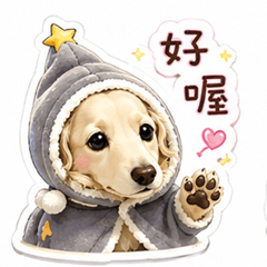 臘腸狗錢錢-生活用語