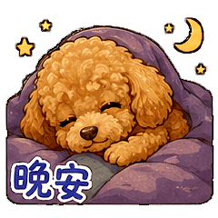 貴賓拉拉的日常