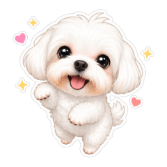 Cute Puppy 20260428