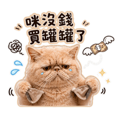 傲嬌又爆氣的DIDI