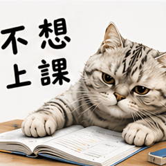 厭世學生美短貓（考試崩潰版）