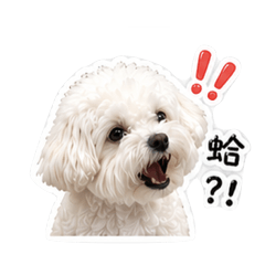 魯卡有事嗎？