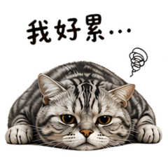 厭世媽媽美短貓 （日常崩潰＋走路打菇版）