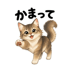 Somali Cat Loves Owner