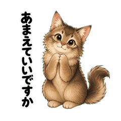 Somali Cat Elegant Sweet