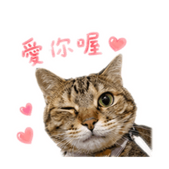 蜜茶小劇場