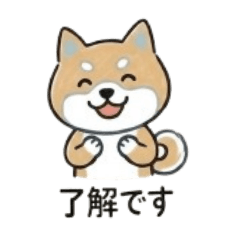 ton_20260429082927