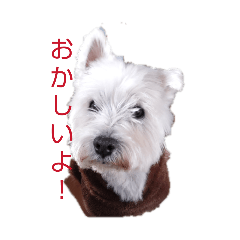 T-OGAWA_20260429102151