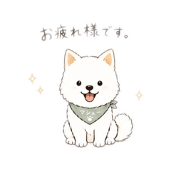 matthew_20260429103010