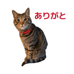 morihiko_20260429103119