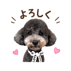 sora - Daily Chat Stickers