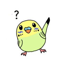 My cute budgie,Puri