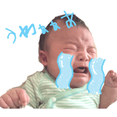 Ayaka_20260429103351