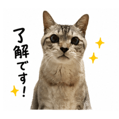 mati8cat_20260429111902