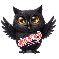 KEN_20260429123425