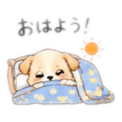 Chihuahua_20260429110231