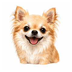chihuahua-Daily Chat Stickers. No words.