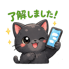 paruko_black cat