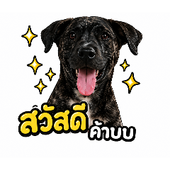 Chaweewan_20260428203619