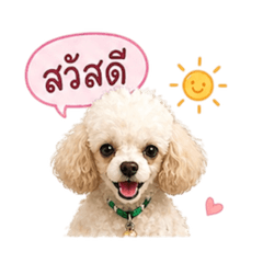 sirirat_20260429083812