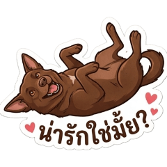 Sopi'Som_20260429102040