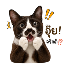 Mhee.P_20260429105929