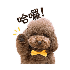江小寶的可愛日常