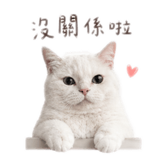 圓ㄉ 一般系列2.0