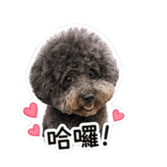 我是黑嚕嚕～
