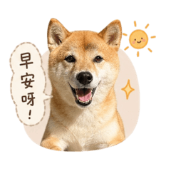 Haru日常用語篇