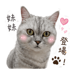 MeiMei喵喵