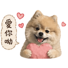 花崽的表情包
