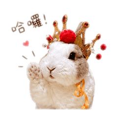 鼜公主當王的一天2