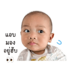 Pammy_20260427220418