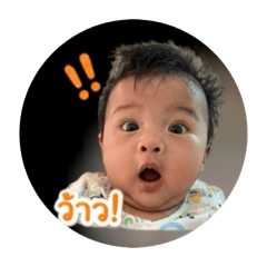 Apichaya_20260427220513