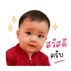 Fern_20260429091150