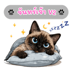 Siamese cat v2