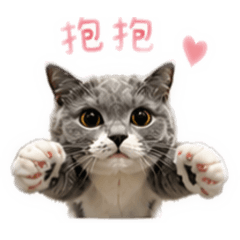 Hina寶寶日常