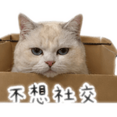 泡芙很厭世