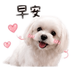 我是韓吉韓吉是我