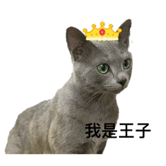 肉肉奴奴