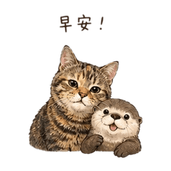 貓與水獺阿莎阿莫