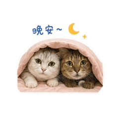 相親相愛的波妞波比