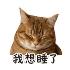 球球。