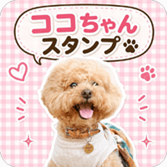kokochan@stampkansaiben