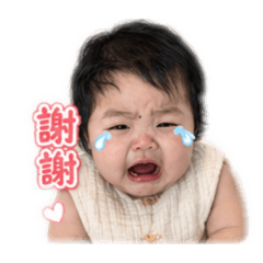 檸檬（1）